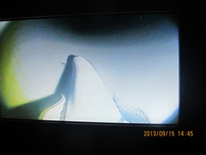 Pipeline Inspection ROV VVL-GA220-4