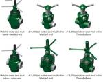 API 6A /Wellhead/valve/Choke Valve/Mud Valve