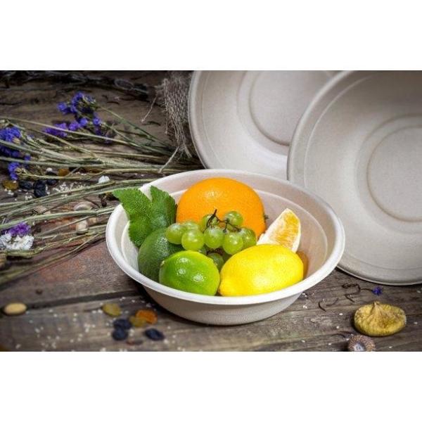 Natural Sugarcane Bagasse Bamboo Biodegradable Soup Bowls Made of Natural