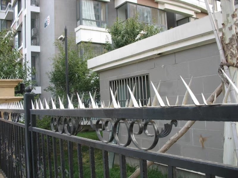 Hot Dipped Galvanized Anti Climb Spikes Rooftop Razor Spikes For Security