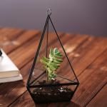 Handmade Glass Homeware Irregular Diamond Shaped Desktop Glass Terrarium Planter