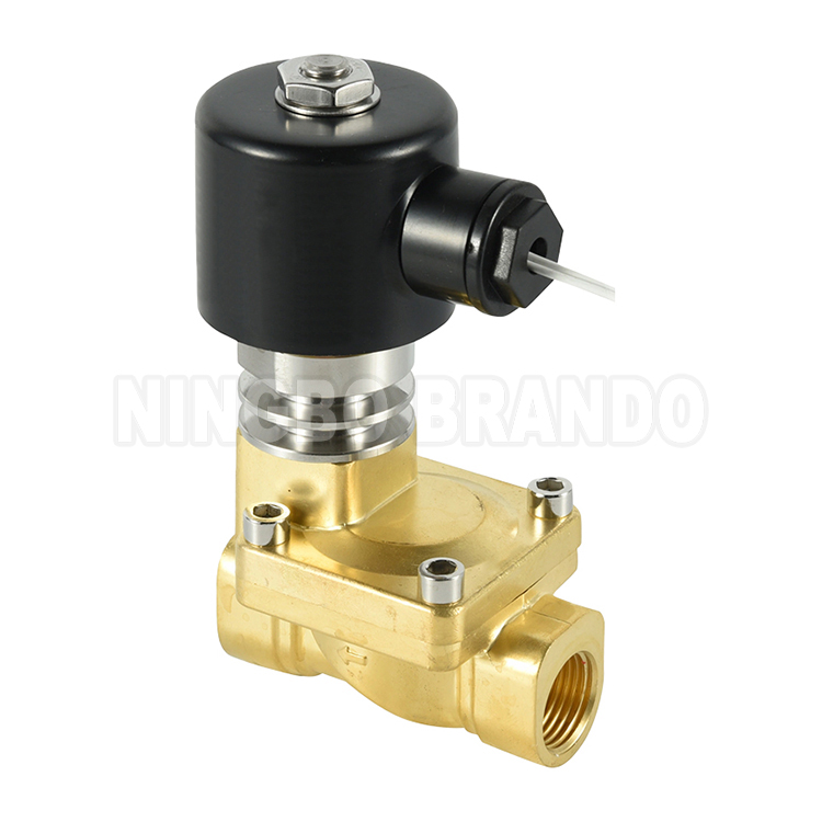 Brass Steam Solenoid Valve (1)