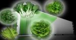 Juxiang 40hq Reefer Container Greenhouse Shipping Cost and Estimated Delivery