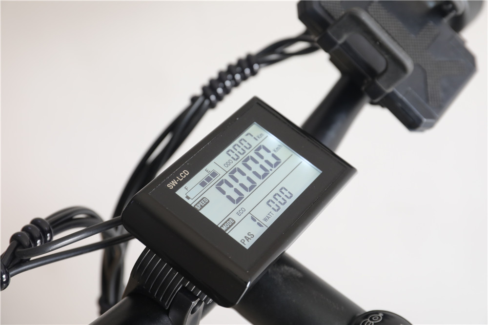 500W 750W Fat Tyre Electric Sport Bike With Double Disc Brake LCD Display High Power