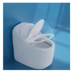 Slowly Closing Seat Cover One-Piece Elongated Non-Electric Toilet for American
