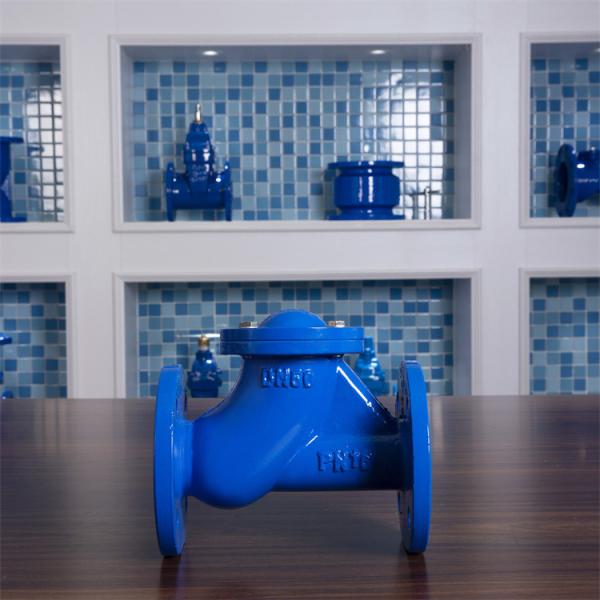 DN50 Swing Check Valve Flange Type PN16 Lamella Rubber Flap Check Valve