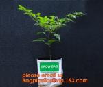 cultivating bags, 100% biodegradable various Wholesale Poly Black Square Garden
