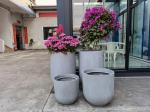 Round Shape Fiberglass Flower Pots GRP Planter Box for Hotel Outdoor Indoor