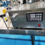 High Speed Semi Automatic Gear Pump Liquid Filler Edible Oil Water Filling