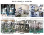 Ultrasonic Chemical Reactors Glass & Stainless Steel Reactor TOPTION