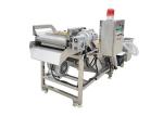 Fruits 380V Vegetable Washing Machine With Conveyor