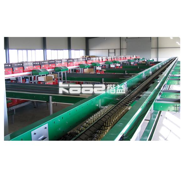 0.5-30T/H Automatic Photoelectric Fruit Sorting System Automatic Fruit Grading Machine