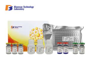 Wholesale Sandwich Type IL 6 Canine Enzyme Linked Immunosorbent Assay Elisa 96 Wells from china suppliers