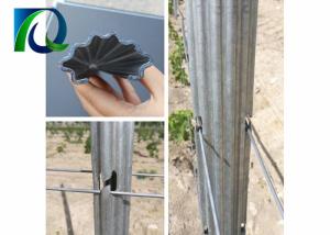 Wholesale Strong Durable Steel Metal Vineyard Trellis Posts For 1.6-3.0MM Wire from china suppliers