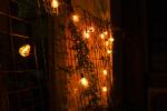 Festoon Length Selectable 2700K Warm White Outdoor LED Christmas Light IP65