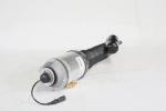Front Volkwagen Struts Suspension Replacement Fit Phaeton 3W0616039D