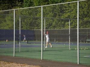 Wholesale Black PVC coated chain link fence/Cyclone Fence 2.4m*15m*50mm*50mm*3.3mm from china suppliers