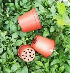 Double colour 2 gallon nursery garden plastic flower pots