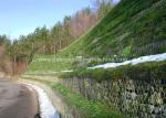 PVC Coated Gabion Stone Wall / Gabion Wall Construction Wire Strength 100x120mm