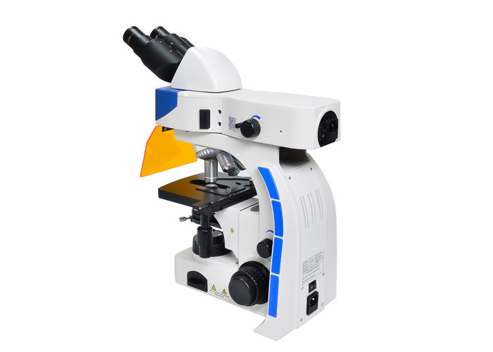 UOP Upright Fluorescence Microscope , High Resolution Fluorescence Microscopy