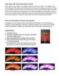 Professional Photon PDT LED Light Therapy Machine Skin Rejuvenation 7 Color