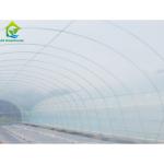 Agricultural Polytunnel Commercial Hydroponic Greenhouse For Mushroom Cultivatio