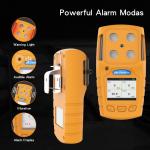 Explosion Proof CH4 Portable Methane Gas Detector