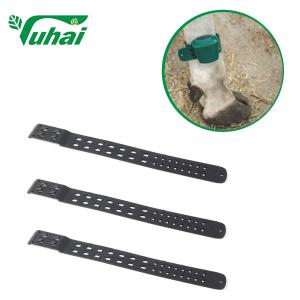 China Black Livestock ID Tags Ankle Strap 35x4cm Ligghtweight Cattle Leg Bands Foot Set on sale