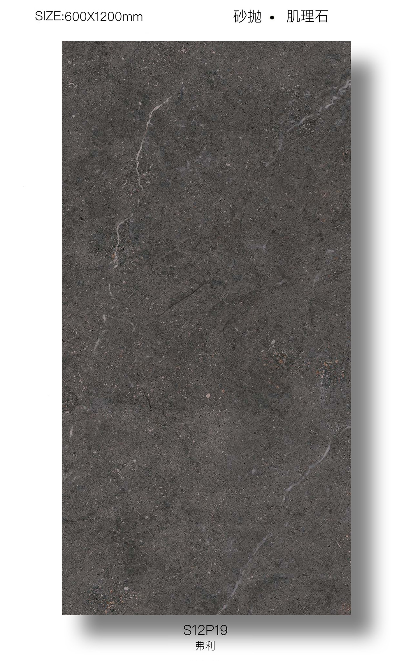 Antibacterial Gray 120x60cm Inside Wall Baby Face Glazed Porcelain Tiles For Restaurant And Bathroom