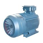 30KW AC Permanent Magnet Synchronous Motor / PMSM Electric Motor