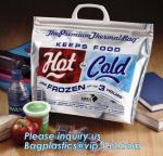 Reusable Insulated Aluminium Foil 6 Pack Cooler Bag Lunch Bag Thermal Bag,foil