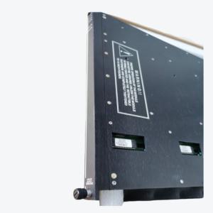 Wholesale TRICONEX 9785-610 ANALOG INPUT PANEL from china suppliers