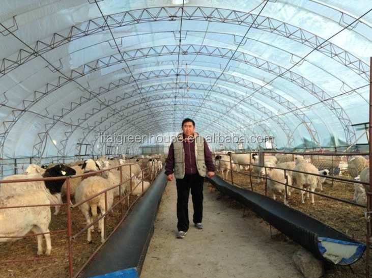 Greenhouse Design for Small Fish Farming and Poultry Cultivation Length Customizable