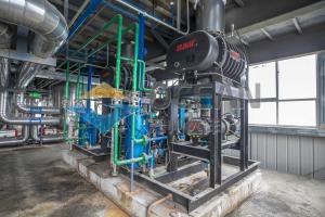 Wholesale Cottonseeds Oilseed Press Plant Cold Press ISO9001 Automatic from china suppliers
