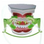 Plastic Dental Orthodontic Accessory Cheek Dental Tongue Retractor Tubing