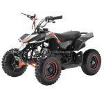 Mini Children's Electric ATV 36V 24V 350W 500W 800W 1000W for Adults in Various