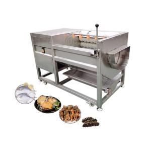 Wholesale SUS304 Stainless Steel Carrot Peeler Machine for Root Vegetable Washing and Polishing from china suppliers