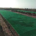 Tenglu HDPE Plastic Grass Paver Grid for Parking Lot and Driveway Free Spare