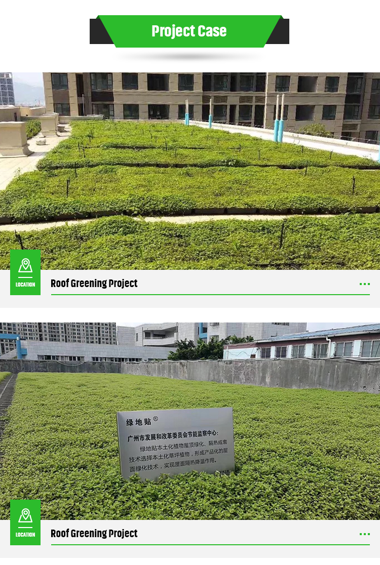 PP Material Decorative Garden Flower Pot for Manufactory Modular Green Roof Trays