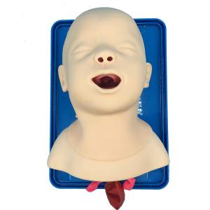 Wholesale Neonate Intubation Cpr First Aid Manikins Medical Simulation Model from china suppliers