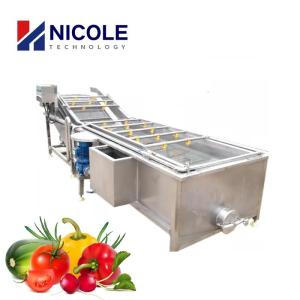 Wholesale SS Automatic Fruit Vegetable Cleaning Machine Air Bubble 220V 415V 440V from china suppliers
