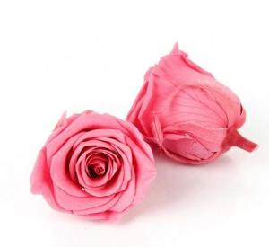 Wholesale Decorative Preserved Rose Heads Pretty Appearance Keeping Everlasting Memory from china suppliers