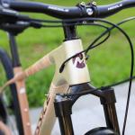 Aluminum Alloy Fork 29 Inch Mountain Bike with Hydraulic Disc Brake and Front