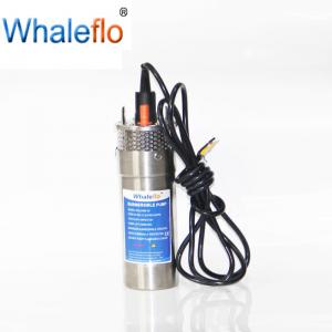 China Whaleflo 12V/24 Volts  Agricultural Irrigation 8L/12L Stainless Steel Mini Submersible Solar Water Pump System on sale