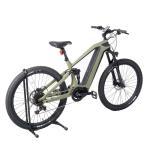 29" Fat Tire Carbon Fiber Electric Bike with 1000 Watt Motor and Full Suspension