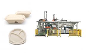 China Fully Automatic Wood Pulp Food Serving Tray Production Line on sale