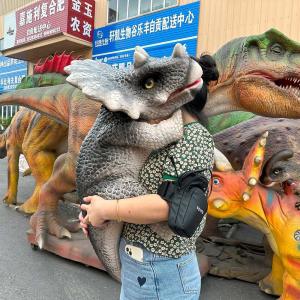 Wholesale Realistic Dinosaur Hand Puppet Customized For Dino Theme Park from china suppliers