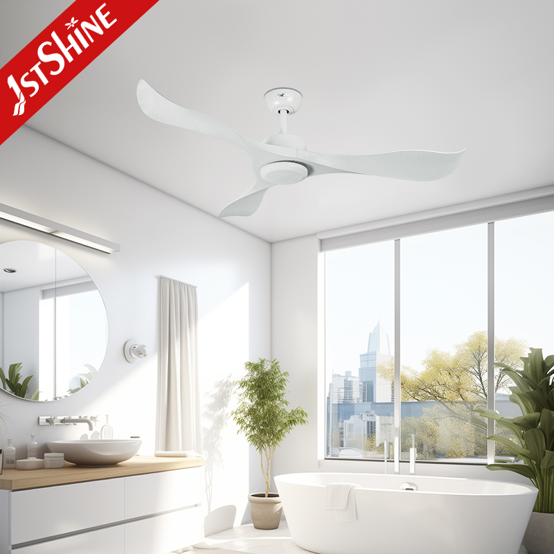 ceiling fan