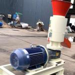 Professional Pellet Mill Machine for Large-scale Biomass Fuel Production Feed