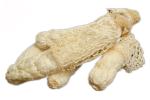 Organic Dictyophora Indusiata Extract